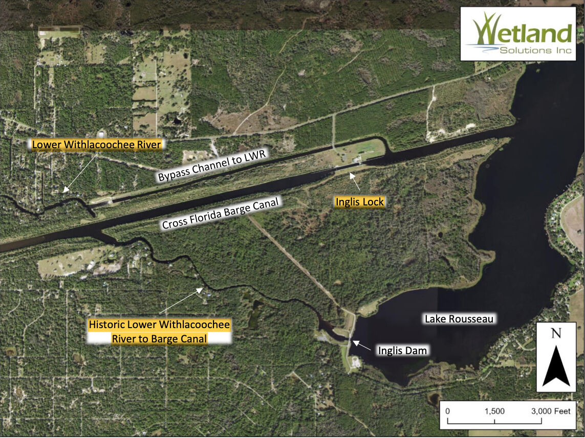 Lake Rousseau & Lower Withlacoochee River Close-Up
